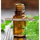 Moringa Oleifera Oil Extract.