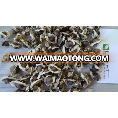 Moringa seeds for oil extraction