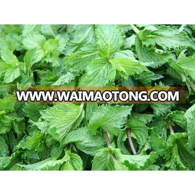 Bulk spearmint