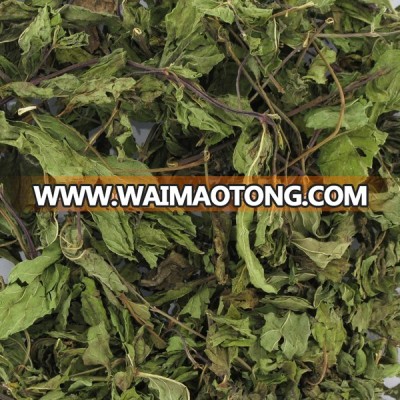 Dehydrated spearmint leaves