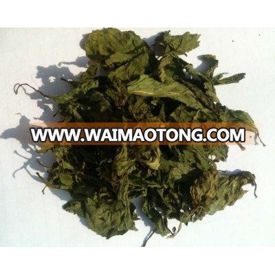 Dried Spearmint leaves