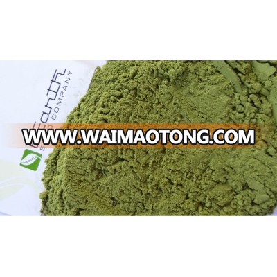 80 Mesh Moringa Powder