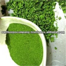 Ground moringa leaves