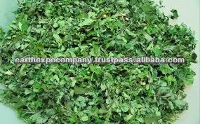 Freeze Dried Moringa