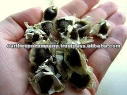 INDIAN MORINGA SEEDS