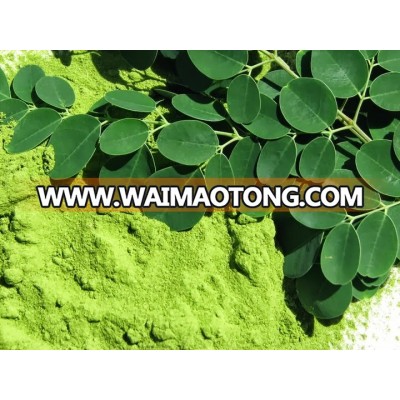 Organic moringa Supplier