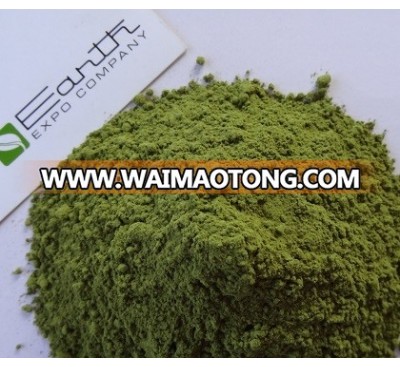 Moringa Powder